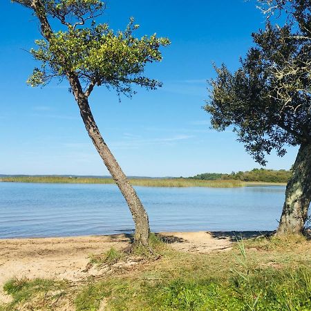 Maisonnette A 300 M Du Lac De Biscarrosse Eksteriør billede
